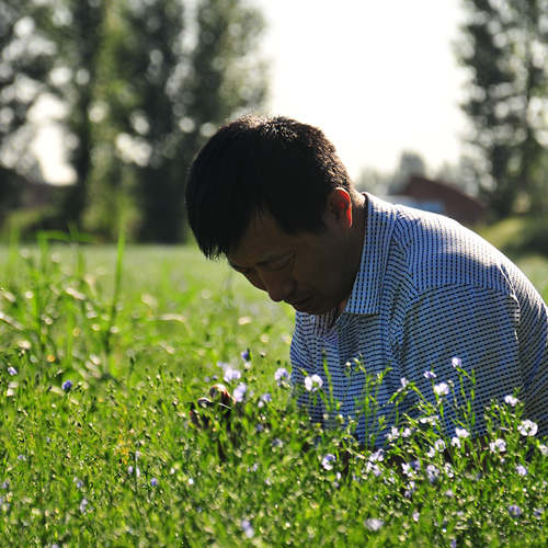 种植基地